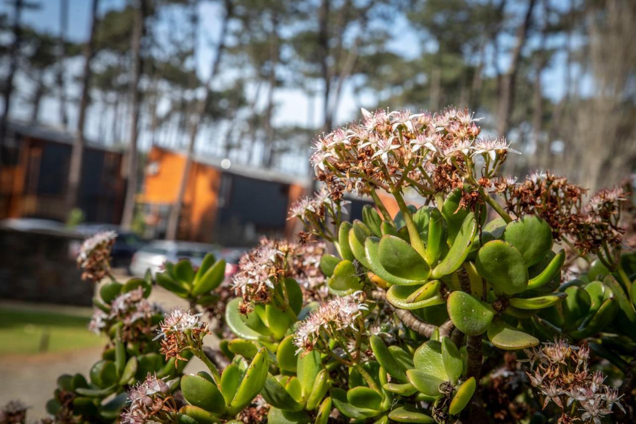 Bungalow B9 - Nature, Beach & River Fão Екстериор снимка
