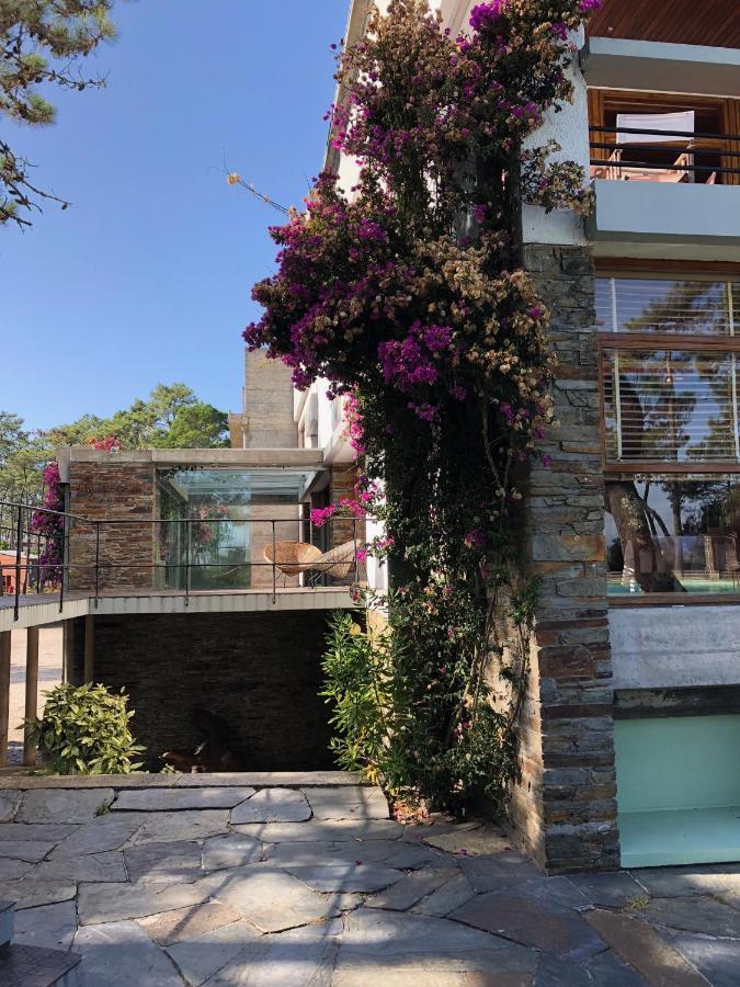 Bungalow B9 - Nature, Beach & River Fão Екстериор снимка
