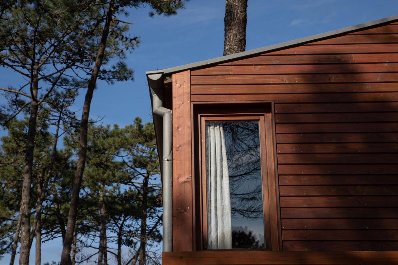 Bungalow B9 - Nature, Beach & River Fão Екстериор снимка